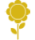 icon4
